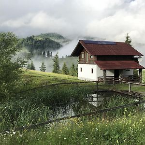 Băile BorşaLa Cabana别墅 Exterior photo