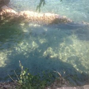 Blue Monkey Beach Cottages Shimoni Exterior photo