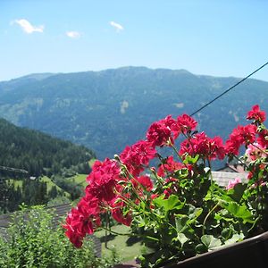 Two Family Appartement Near Bad Kleinkirchheim 拉登泰因 Exterior photo