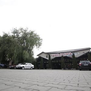 Hanul Lui Tinta 布泽乌 Exterior photo