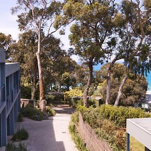 Lorne Surf Apartments Exterior photo