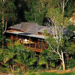 UkiWollumbin Palms Rainforest Retreat别墅 Exterior photo