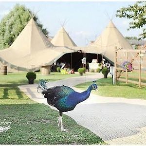 Green Hammerton Skipbridge Farm Shepherds Huts Campground酒店 Exterior photo