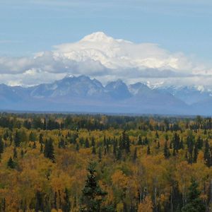 Denali Overlook Inn 塔尔基特纳 Exterior photo