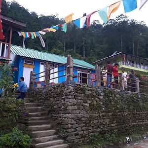 Vamoose Arjastik Homestay Pedong Exterior photo