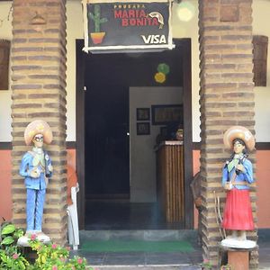 Suites Maria Bonita Jeri 日若卡-迪热里科阿科阿拉 Exterior photo