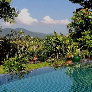Villa Albizia In Chiang Mai 萨科特山 Exterior photo