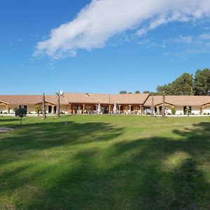 L'Hotel Du Lac 卡斯特尔雅卢 Exterior photo