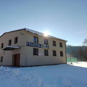 Rožnov pod Radhoštěm Penzion Adela酒店 Exterior photo