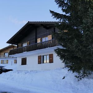 波尔琴Chalet Bergmann别墅 Exterior photo