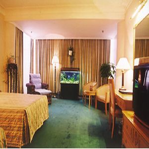 Torch Hotel 乌鲁木齐 Room photo