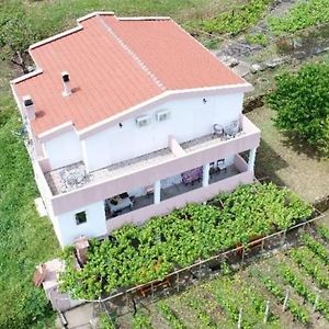 Vrzina Farm House Skadar Lake 威尔帕扎 Exterior photo