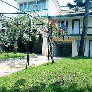 Green Woods Homestay 科代卡纳尔 Exterior photo