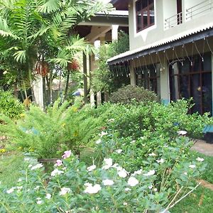 Hotel Lihini Village Dambulla 丹不拉 Exterior photo