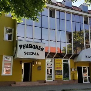 Bistriţa Pensiunea Stefan酒店 Exterior photo