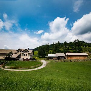 Tourist Farm Pr'Dovar 戈雷尼斯卡地区采尔克列 Exterior photo