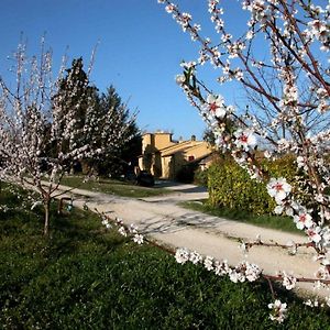 洛雷托·阿普鲁蒂诺Agriturismo Le Magnolie别墅 Exterior photo