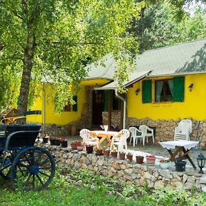 Yellow House By The River Lipovac  Exterior photo