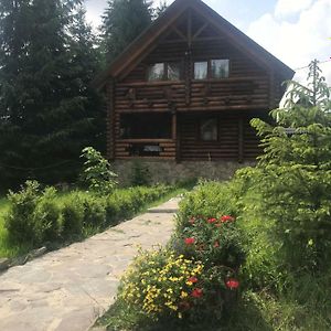 Cottage Karinka 布克维 Exterior photo