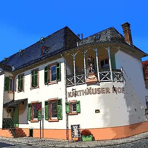 加尔都西霍夫酒店 Floersheim am Main Exterior photo