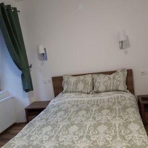 BistriţaSara House公寓 Room photo