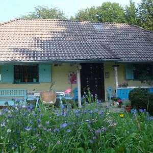 Blue Cottage Podvrh  Exterior photo