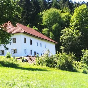 ZaglauFerienhaus Herrnbauer公寓 Exterior photo