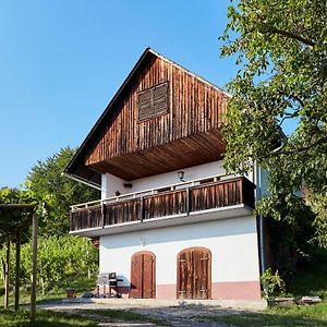 Weinberg Lodge - Kellerstockl Klöch Exterior photo