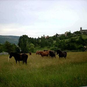 Revest-des-BroussesGite Provence Luberon -Paca- Acces Pmr-Ancv别墅 Exterior photo