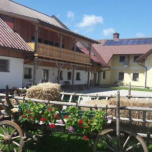 Otscherblick Fam Winter Frankenfels Exterior photo