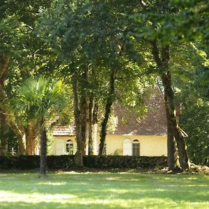 PouillonLa Chapelle Du Chateau Gite别墅 Exterior photo