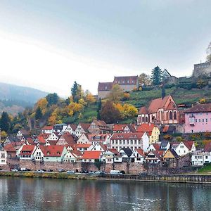 Neckarblick,Natur, Altstadt 希尔施霍恩 Exterior photo