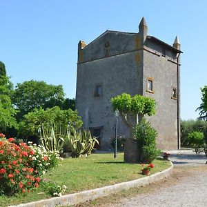 Magica Torre Medievale 维泰博 Exterior photo