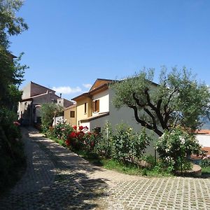 Dianum Villa Degli Ulivi 帕杜拉 Exterior photo