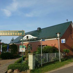 Teschendorf Teschendorfer Landgasthof住宿加早餐旅馆 Exterior photo