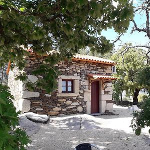 Sendim Casa Do Feitor - Douro - Quinta Da Cabrida别墅 Exterior photo