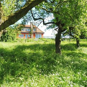 Kleine Villa Im Wilden Garten 古默斯巴赫 Exterior photo