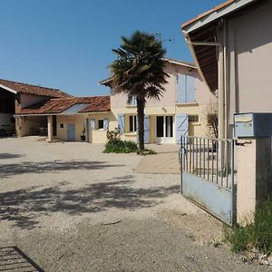 La Maison De L'Ormeau 蒙托邦 Exterior photo