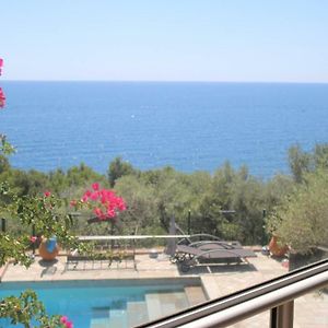 Villa In Cap Corse San-Martino-di-Lota Exterior photo