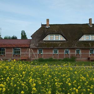 Landhaus Maltzien Auf Rugen Exterior photo