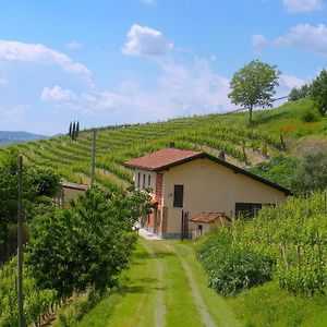 Cascina Tra I Vigneti A Nizza Monferrato别墅 Exterior photo