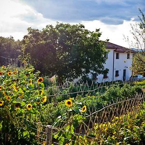 Apartment With Privat Garden Montegabbione Exterior photo