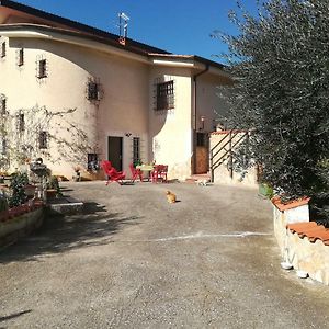 Sonnino Casa Fra Gli Ulivi Di Giuseppe旅馆 Exterior photo