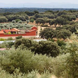 Navalcan La Costanilla De Los Angeles旅馆 Exterior photo