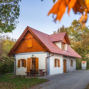 Vineyard Cottage Vina In Medu 特贝尔诺 Exterior photo