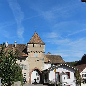 WaldenburgWandern Und Wohnen Bei Gabriela公寓 Exterior photo