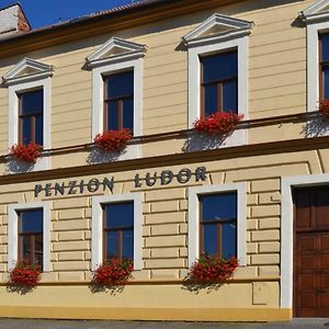 Strážnice Penzion Ludor酒店 Exterior photo