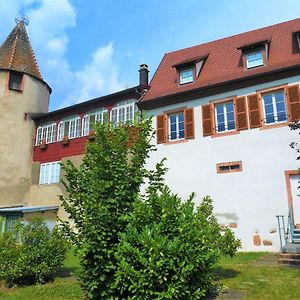 Les Gites De La Tour, Appartement "Le Vignoble" 圣伊波利特 Exterior photo