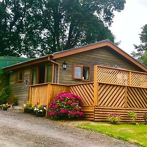 PontardaweSwansea Log Cabin别墅 Exterior photo