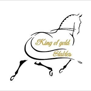 King Of Gold Stables Appartement Met Stalling Voor 5 Paarden 祖滕达尔 Exterior photo